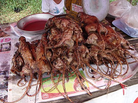 Rat (most likely ricefield rat) on sale for meat in Thailand