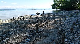 Vestiges de cité lacustre du Néolithique, classés au Patrimoine mondial de l'Humanité