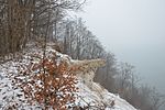 Vorschaubild für Waldhalle