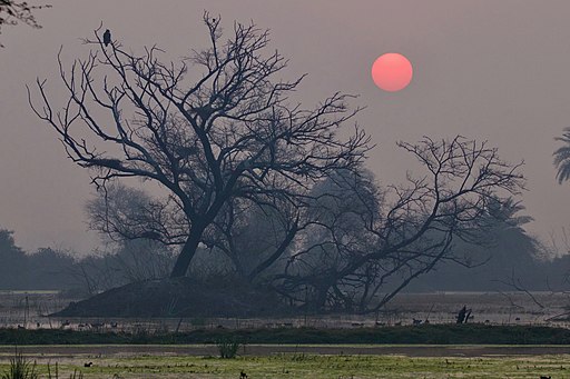 Nationalpark Keoladeo. Rising sun at Bharatpur