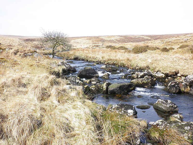 File:River Erme - geograph.org.uk - 1805311.jpg