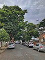 Rua do bairro Brasil, região central uberlândia.jpg