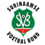 Thumbnail for Suriname national football team