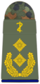 Generalstabs­arzt (Zahnmedizin)