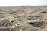 Strandzand (Katwijk)