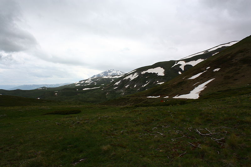 File:Sar Planina Maj 2010 (110).jpg