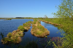 Schleswig-Holstein, Fockbek, Naturschutzgebiet Fockbeker Moor NIK 1656.jpg