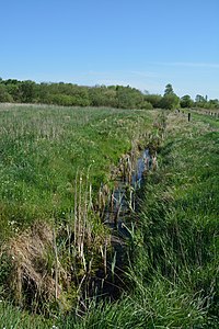 Schleswig-Holstein, Nordhastedt, Fieler Moor NIK 0515.JPG