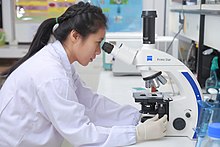 Scientists are working in the lab.9.jpg
