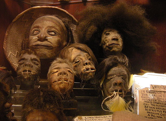 Shrunken heads 640px-Seattle_-_Curiosity_Shop_-_shrunken_heads_02A