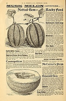 Publicité pour les graines de cantaloup
