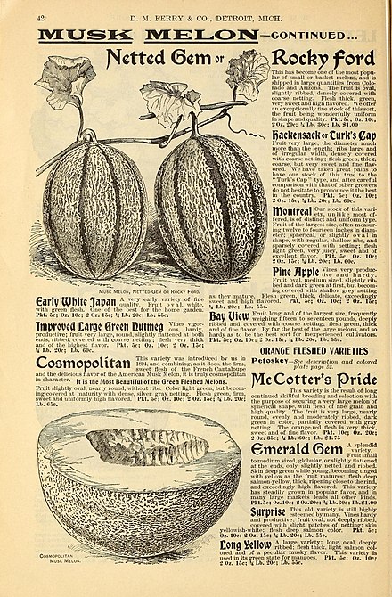 Advertisement for cantaloupe seed