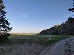 Tauberbischofsheim svæveflyveplads