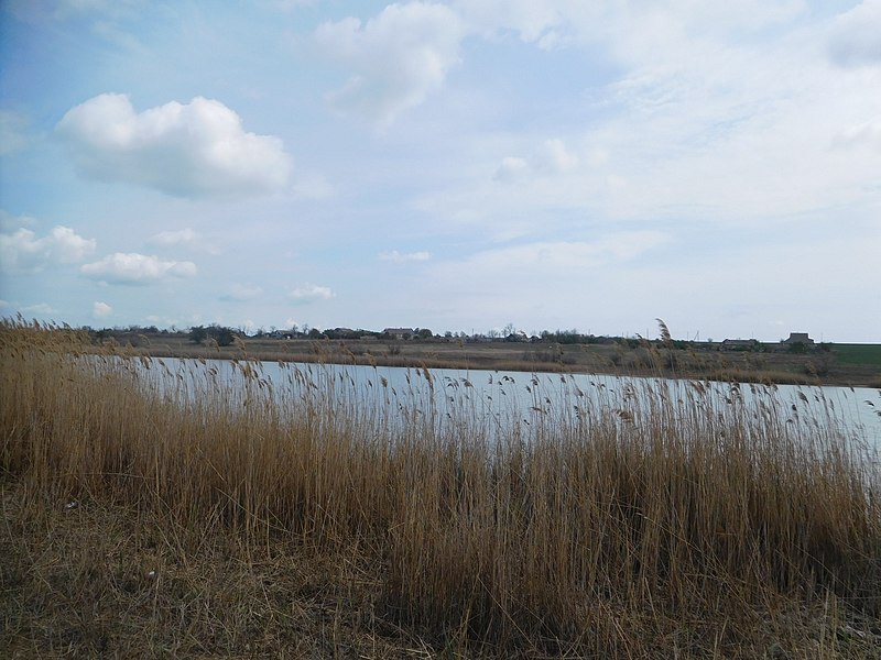 File:Sekretarivka Pond.jpg