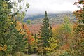 Français : Sentier du Parc national du mont Mégantic, secteur de Franceville.