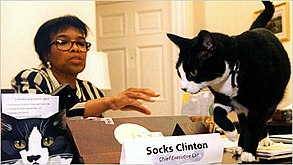 Betty Currieová a „Socks Clinton“