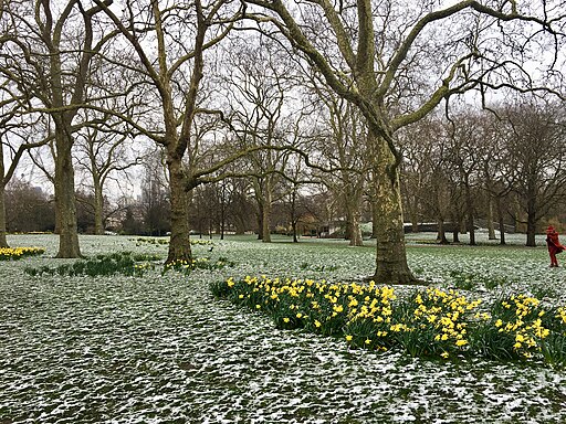 St James's Park, March 2018