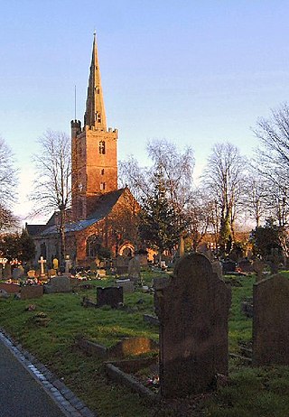 <span class="mw-page-title-main">Halesowen</span> Town in England
