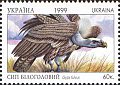 Gyps fulvus depicted on an Ukraine stamp