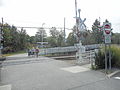 One of the few LIRR stations with a pedestrian crossing. This one goes to Stony Brook University.