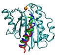 File:Structural-Basis-and-Kinetics-of-Force-Induced-Conformational-Changes-of-an-αA-Domain-Containing-pone.0027946.s008.ogv