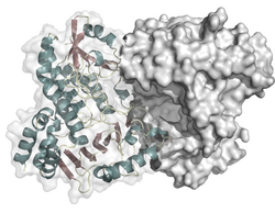 Styrol-Monooxygenase (Pseudomonas putida)