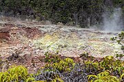 Sulphur banks faeture at the Hawaiʻi Volcanoes National Park.