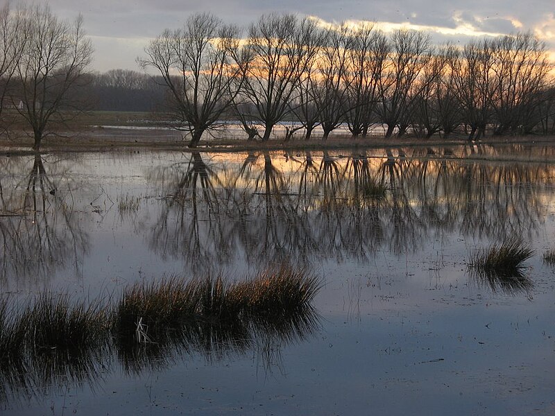 File:Sunset, Bourgoyen, Belgium.jpg