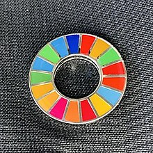 SDGS in Nigeria Sustainable Development Goals in Nigeria.jpg