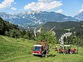 * Nomination Lindner truck and tractor harvesting hay from the Swiss Alps. --Jay.Jarosz 13:28, 14 November 2023 (UTC) * Promotion Good quality. --MB-one 16:24, 18 November 2023 (UTC)