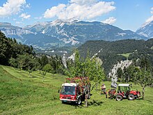 Lindner truck and tractor harvesting hay in Swiss Alps Swiss Farmer's View.jpg