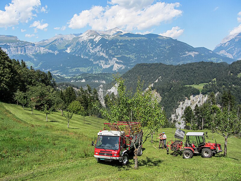 File:Swiss Farmer's View.jpg