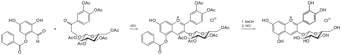 Synthese Cyanidinglucosidchlorid