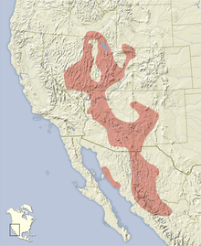 Tamias dorsalis distribution map.png