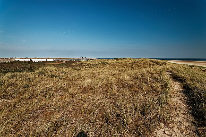 File:Texel - Nature Reserve De Hors - 360° Panorama on top of Dunes at the South of Texel 04.jpg