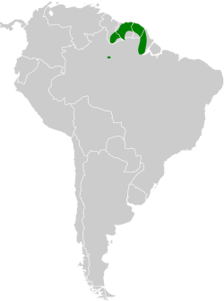 Distribución geográfica del batará guayanés.