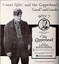 Thumbnail for The Copperhead