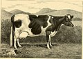 The breeds of live stock, and the principles of heredity (1887) (14781060912).jpg