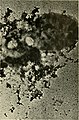 The electron microscope, its development, present performance and future possibilities (1948) (21182836506).jpg