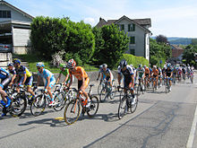The peloton passing through Wohlen, around 75 km (46.6 mi) into the stage. Tour de Suisse Wohlen 2013.jpg