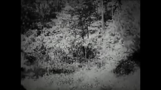 <i>Tracked by Bloodhounds; or, A Lynching at Cripple Creek</i> 1904 American film