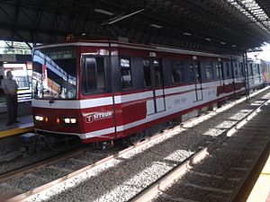 Train at the Isla Raza station