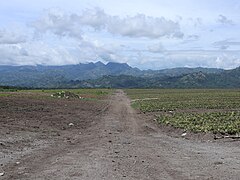 Tupi Polonuling pineapple plantation, T'Boli mountains view