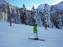 Skier on twin-tip skis Twintips Ehrwalder Alm.jpg