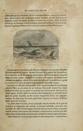 enflammés par la convoitise, et ses mâchoires béantes, lorsqu’il se retournait, découvraient une quadruple rangée de dents. Sa tête était large et disposée comme un double marteau au bout d’un manche. John Mangles n’avait pu s’y tromper ; c’était là le plus vorace échantillon de la famille des squales, le poisson-balance des Anglais, le poisson-juif des Provençaux. Les passagers et les marins du Duncan suivaient avec une vive attention les mouvements du requin. Bientôt l’animal fut à portée de l’émerillon ; il se retourna sur le dos pour le mieux saisir, et l’énorme amorce disparut dans son vaste gosier. Aussitôt il « se ferra » lui-même, en donnant une violente secousse au câble, et les matelots halèrent le monstrueux squale au moyen d’un palan frappé à l’extrémité de la grande vergue. Le requin se débattit violemment, en se voyant arracher de son élément naturel. Mais on eut raison de sa violence. Une corde munie d’un nœud coulant le saisit par la queue et paralysa ses mouvements. Quelques instants après, il était enlevé au-dessus des bastingages et précipité sur le pont du yacht. Aussitôt, un des marins s’approcha de lui, non sans précaution, et, d’un coup de hache porté avec vigueur, il trancha la formidable queue de l’animal. La pêche était terminée ; il n’y avait plus rien à craindre de la part du monstre ; la vengeance des marins se trouvait satisfaite, mais non leur curiosité. En effet, il est d’usage à bord de tout navire de visiter soigneusement l’estomac des requins. Les matelots, connaissent sa voracité peu délicate, s’attendent à quelque surprise, et leur attente n’est pas toujours trompée. Lady Glenarvan ne voulut pas assister à cette répugnante « exploration, »