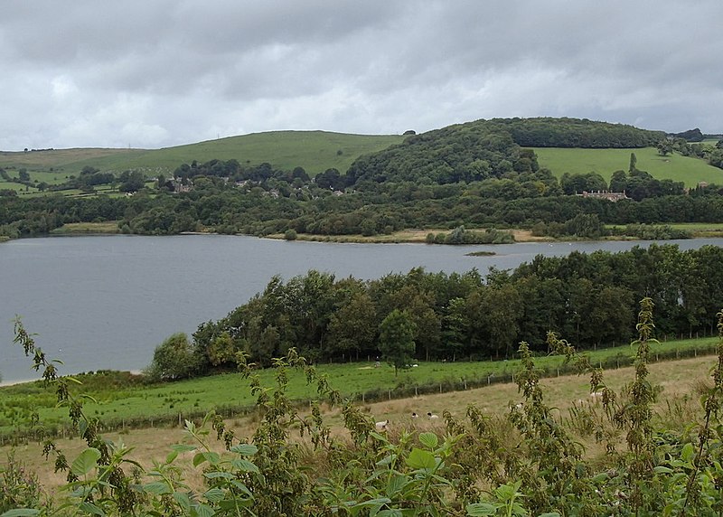 File:View across Carsington Water - geograph.org.uk - 3094065.jpg