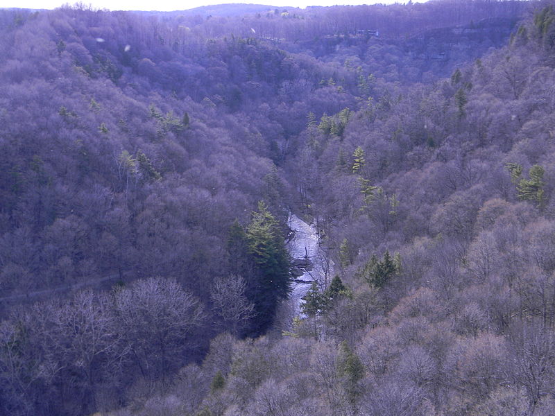 File:View from Bruce Trail.JPG