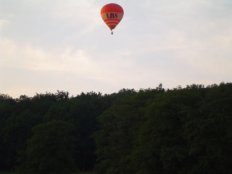 File:Warsteiner Internationale Montgolfiade (1186188741).jpg