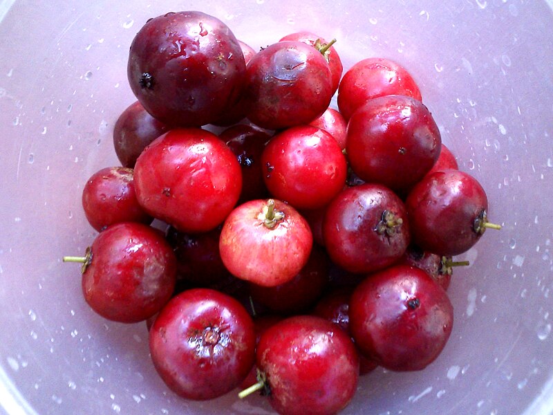 File:West indian cherry.JPG