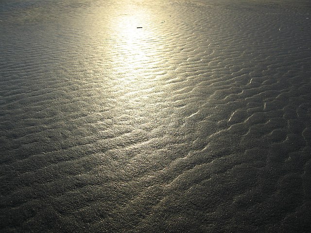 File:Wet Sand.jpg - Wikimedia Commons.